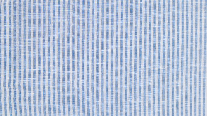 The Blue Striped Shirt - Image 4