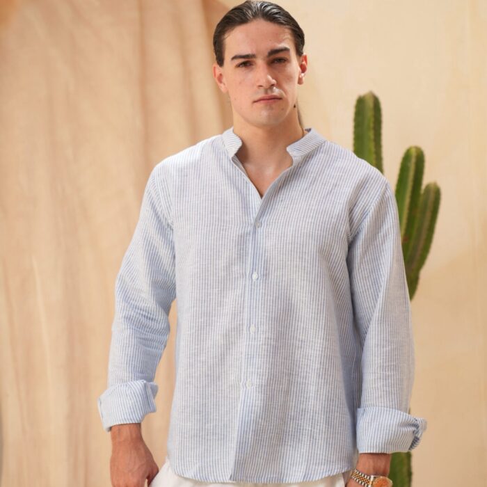 The Blue Striped Shirt - Image 1